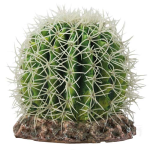 HOBBY Kaktusz Sonora M 15x15x13cm