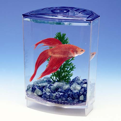 PENN PLAX Műanyag akvárium BETTA 10x10x15cm+növény+kavics sziámi harcoshalaknak