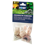 HOBBY Sea Shells Set L 5db - dekoráció akváriumba