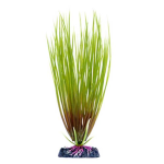 PENN PLAX Műnövény 18 cm Hair Grass S