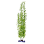 PENN PLAX Műnövény 45,5 cm Flowering Cabomba Super