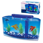 PENN PLAX Akvárium Deluxe 2,7l +LED kék+fehér vílágítás sziámi harcoshalaknak