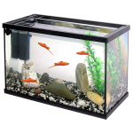 PACIFIC 40 akvárium 20l 40x20x25cm fedő üveg+szűrő+növény+kavics