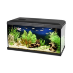 PACIFIC 60 akvárium 54l 60x30x30cm teljes felszereléssel LED világítással