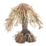 DUPLA Weeping Willow 1 - Természetes fa dekoráció édesvízi akváriumba 15x10x16 cm